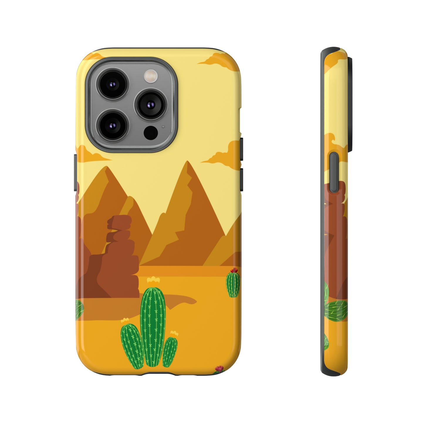 Arizona